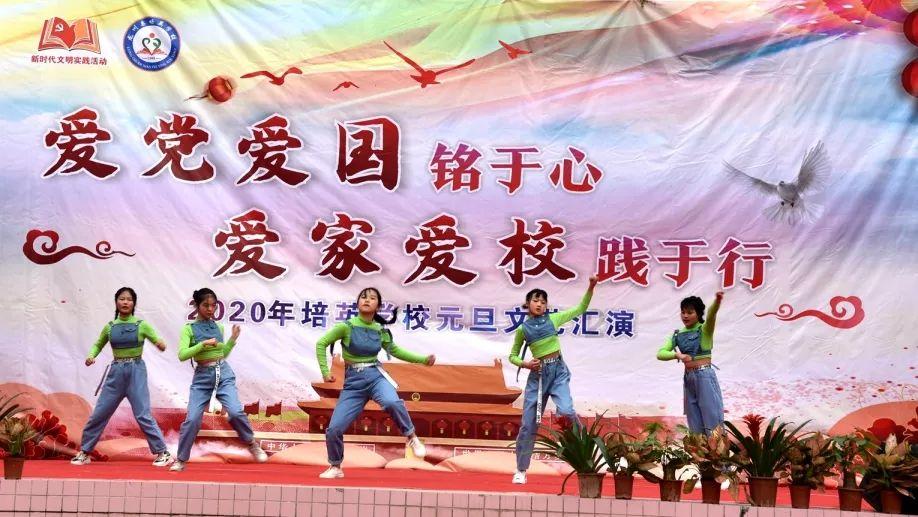 动物帮帮忙保卫家园