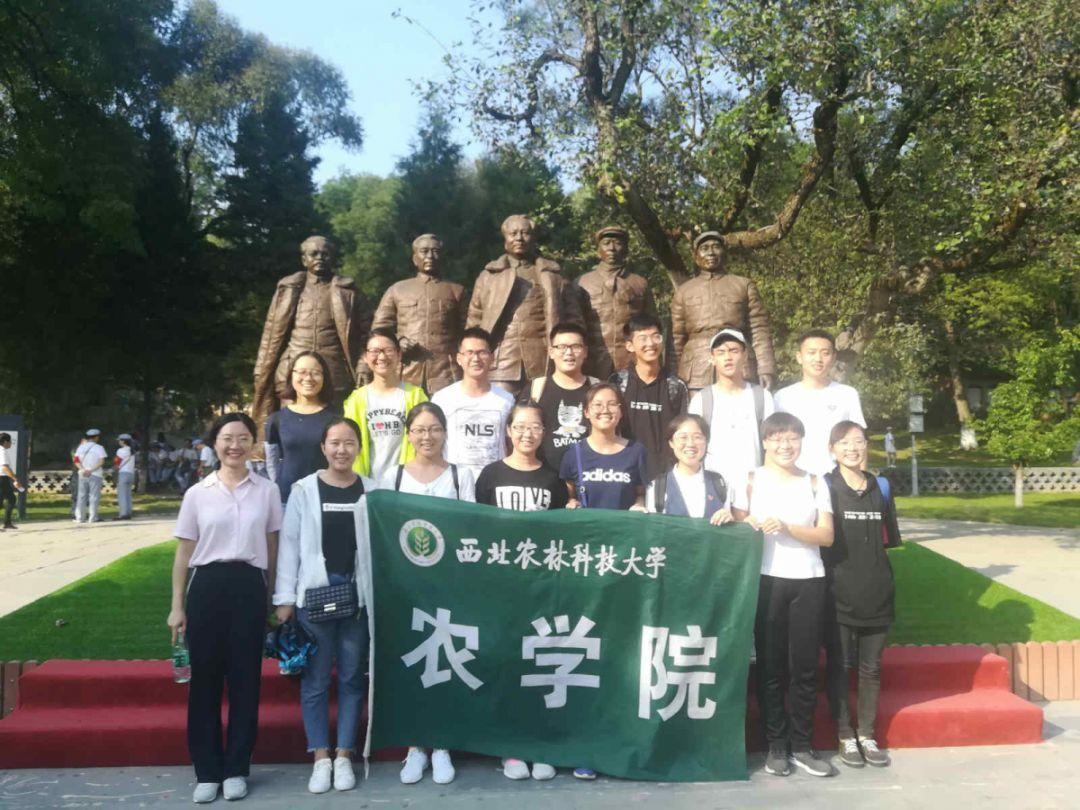 虫虫助手下载